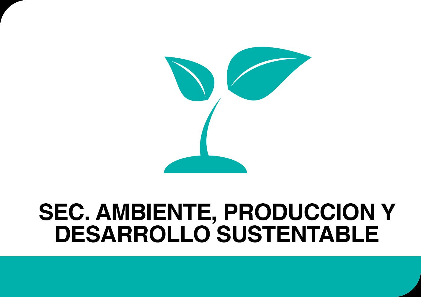 Municipalidad de Rawson Chubut Img Banner